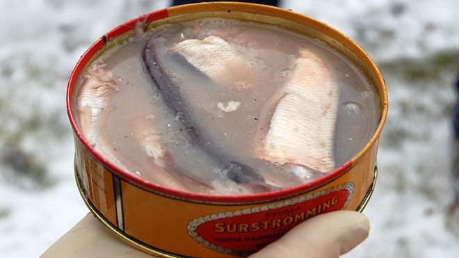 Surströmming, la delicia sueca que hace vomitar a los españoles